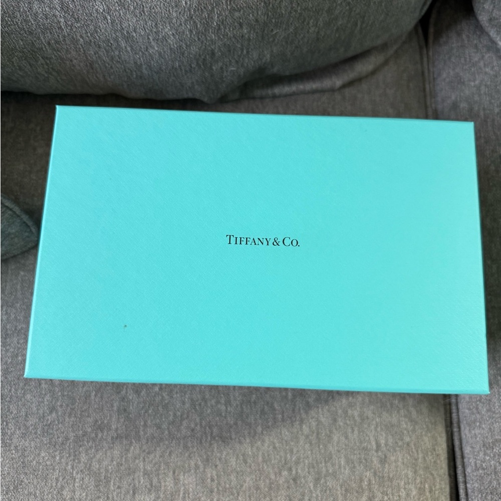 Tiffany & Co. Robin's Egg Blue Presentation Box